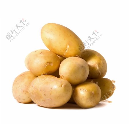 土豆高清
