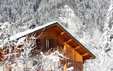 大雪覆盖的房屋