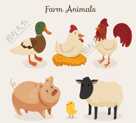 6种可爱农场动物矢量素材