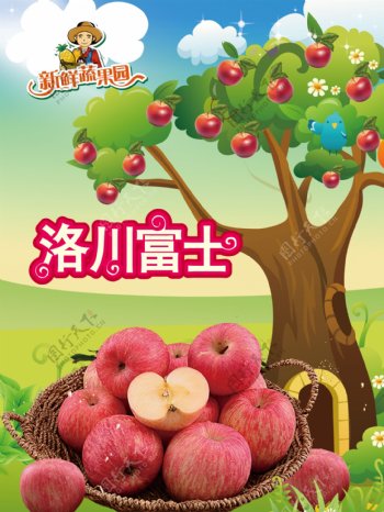 洛川富士苹果海报