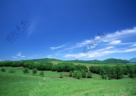 绿草蓝天背景