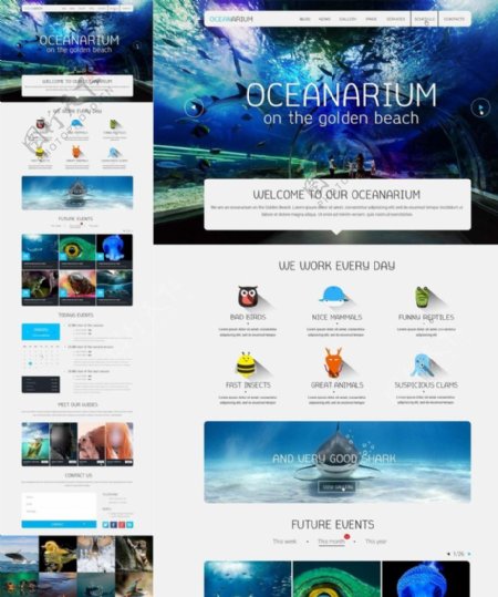 海底世界网站