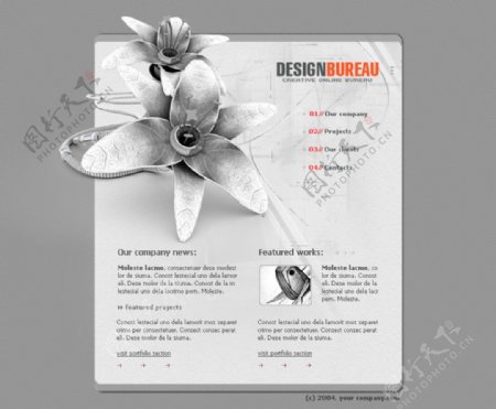 外国花瓣设计创意类网页