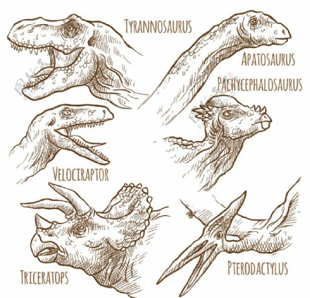 手绘恐龙图案
