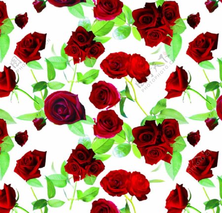玫瑰花花型传统图案