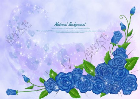 蓝色梦幻背景花朵