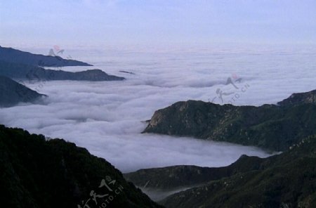 山涧云雾飘渺视频