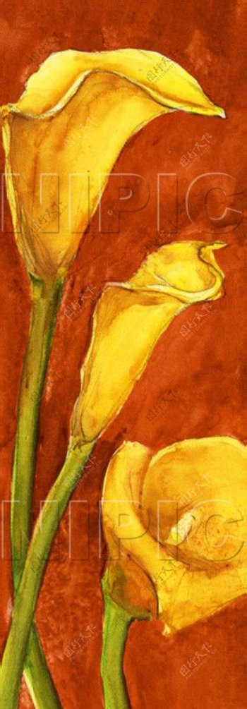 花卉油画12330厘米X90厘米