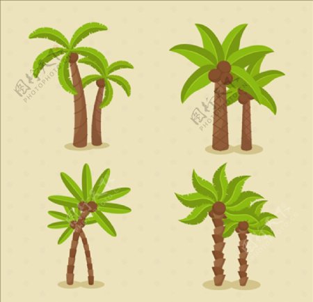 四款卡通美丽的棕榈树