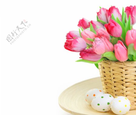 彩蛋和粉色的花朵