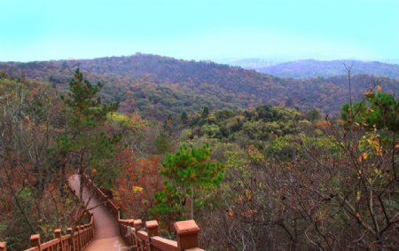 栖霞山红叶栖霞古寺