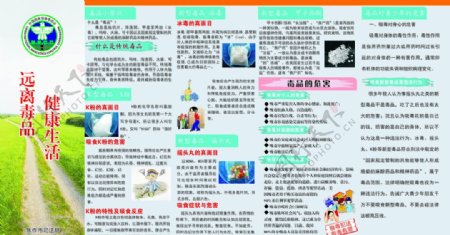 禁毒宣传页四折页背面是挂历