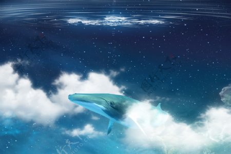 星空中的鲸鱼