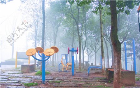 雨天公园树木锻炼场地