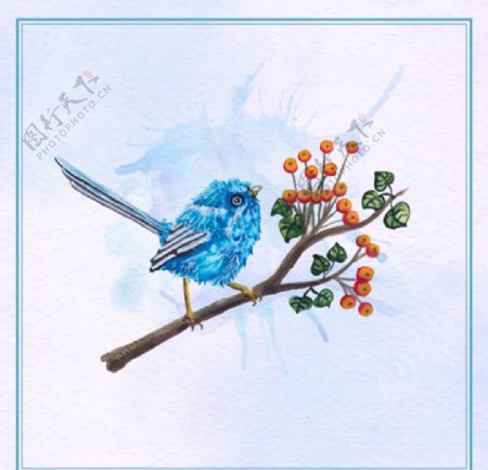 手绘水彩春季蓝色花鸟