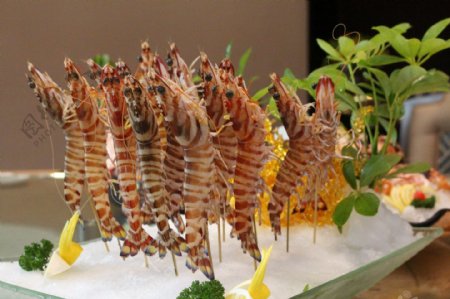竹节虾姿造