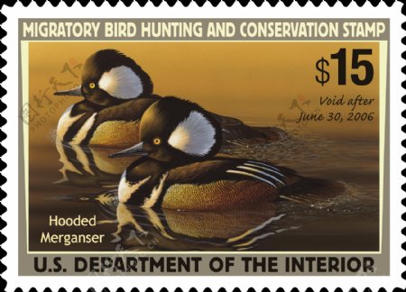 保护鸭系列宣传邮票