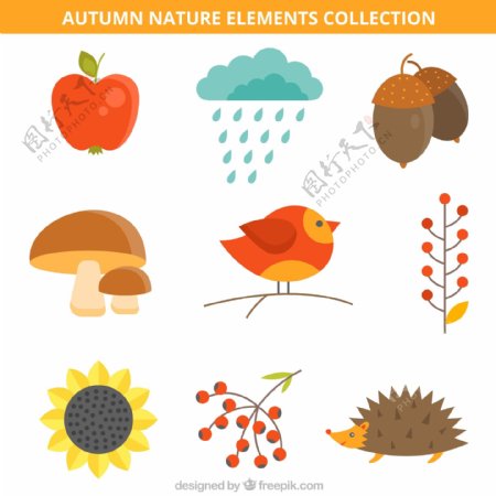 9款可爱秋季自然元素矢量素材