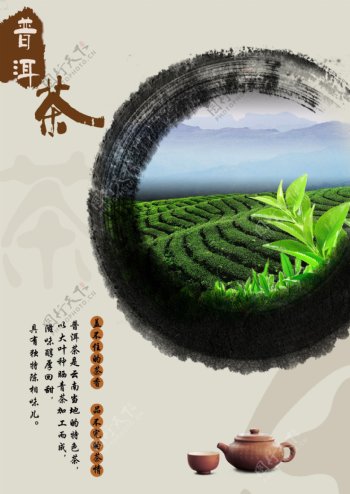 普洱茶商业海报