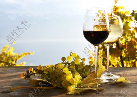 两杯红酒和葡萄图片