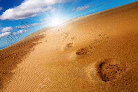 埃及的沙漠图片图片