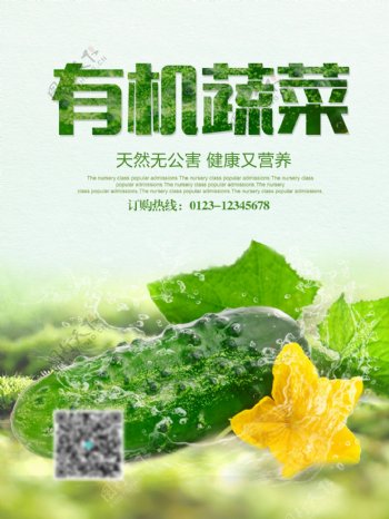 绿色有机蔬菜优惠促销海报高清