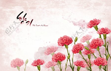 热情红色韩国花朵背景