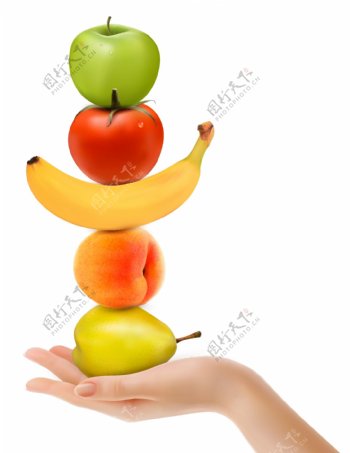 单手托举水果的手臂矢量图