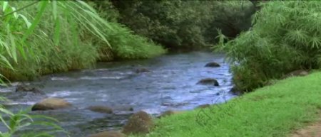 小溪水特写自然风光美景高清实拍视频素材