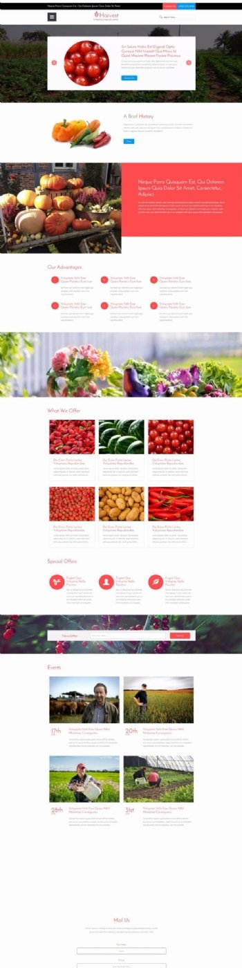 蔬菜生鲜超市配送企业网页