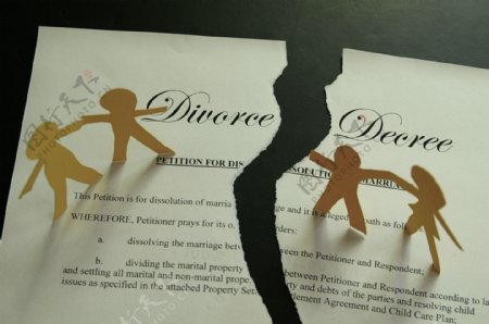 撕碎的离婚协议书图片