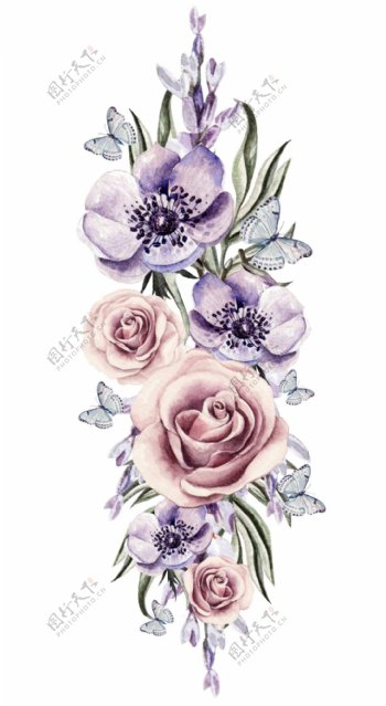 美丽紫色花朵高清图片素材