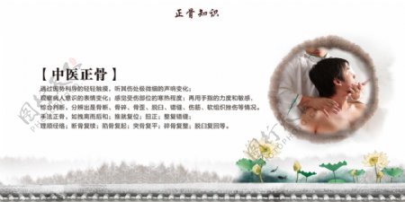 中医知识网页界面banner