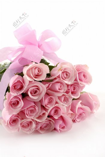 一大束粉色玫瑰图片