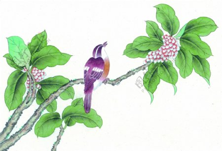 水墨植物鸟类图片