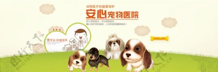 安心宠物医院海报网站页眉