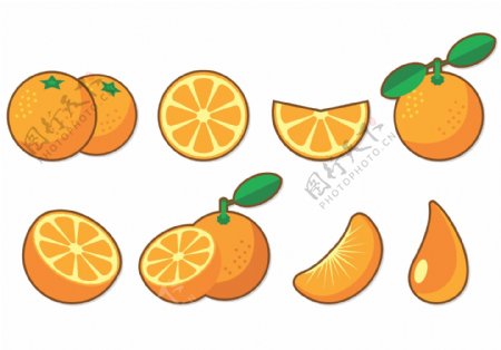 手绘橙子水果
