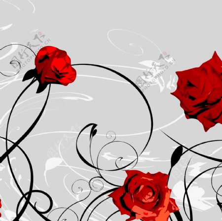 拉丝红玫瑰装饰画
