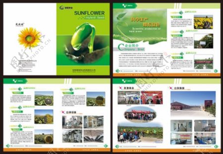 绿色种子企业画册设计模板PSD素材下载