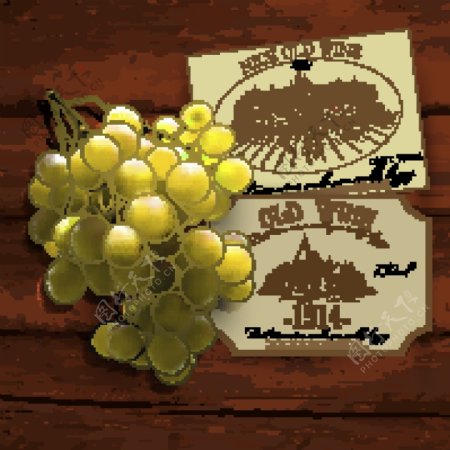 绿色葡萄串和葡萄酒商标矢量图
