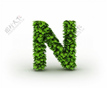 绿叶立体字母N