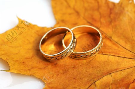 树叶上的结婚戒指图片