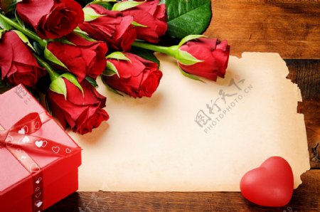 浪漫情人节玫瑰背景图片