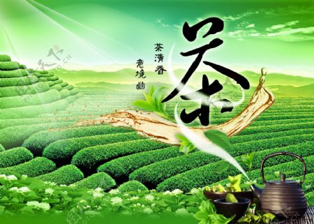 茶叶茶田宣传单海报