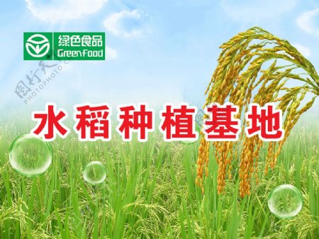 水稻种植基地海报