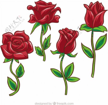 各种不同的手绘风格玫瑰矢量设计素材