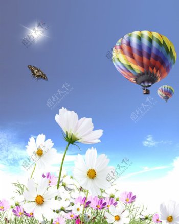 蓝天鲜花氢气球海报背景