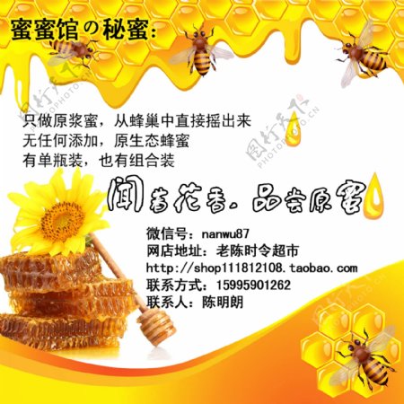 蜂蜜蜜蜂宣传页海报