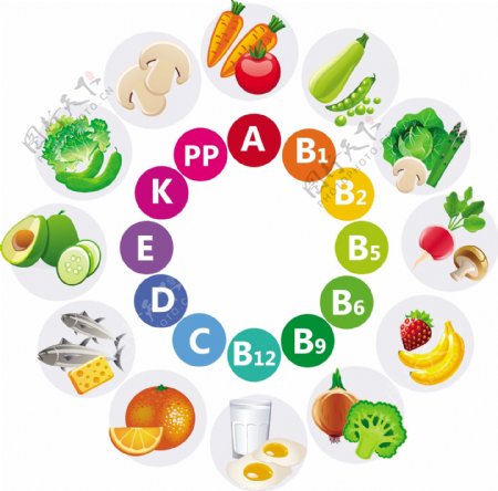 多种蔬菜水果维生素矢量图