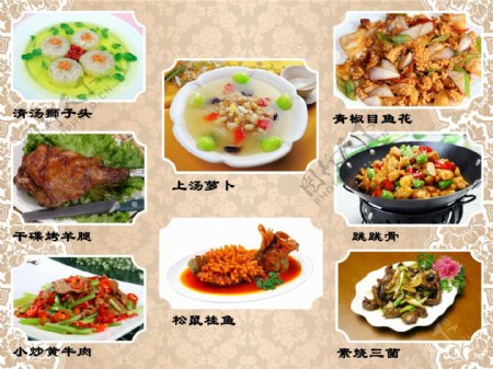 中式画册菜谱